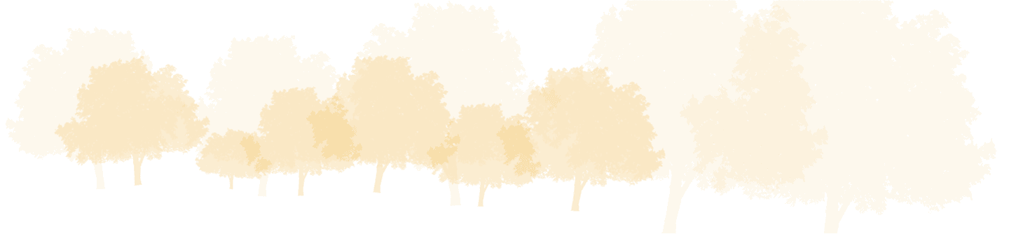 maatara - newsletter background